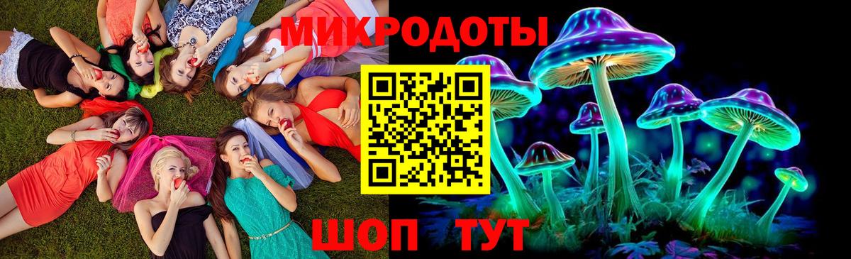 Псилоцибиновые грибы GOLDEN TEACHER Арзамас
