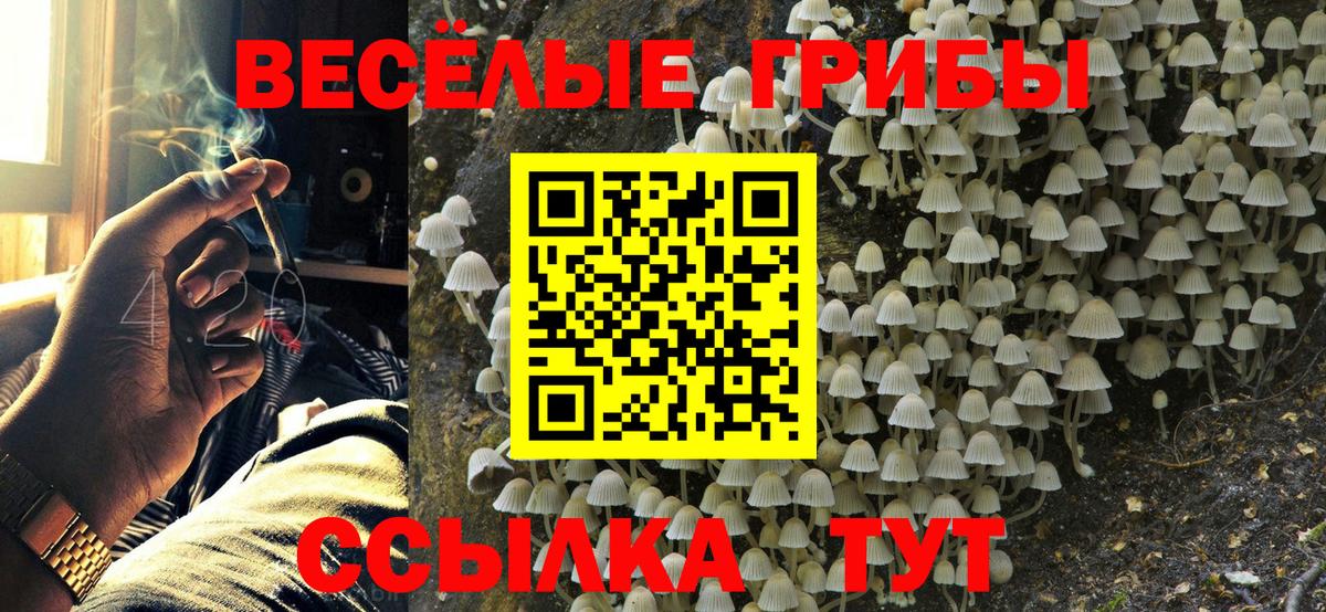 Псилоцибиновые грибы прущие грибы  Вход с VPN  Арзамас 